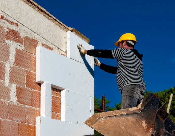 Best Insulation Maintenance and Repair in Fulshear, TX