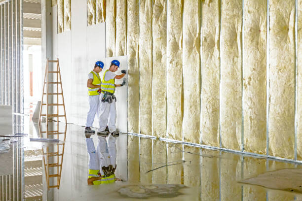 Best Commercial Insulation in Fulshear, TX